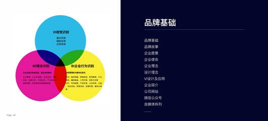 朱美乐重庆演讲精选 构建大品牌战略体系，驱动商业价值持续生长